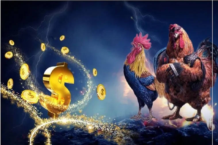 Đá Gà U888: Đấu Trường Cá Cược Kịch Tính Hàng Đầu 2025