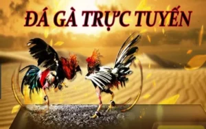 Hướng Dẫn Cách Chơi Đá Gà WS168 Tại U888 Hấp Dẫn Nhất